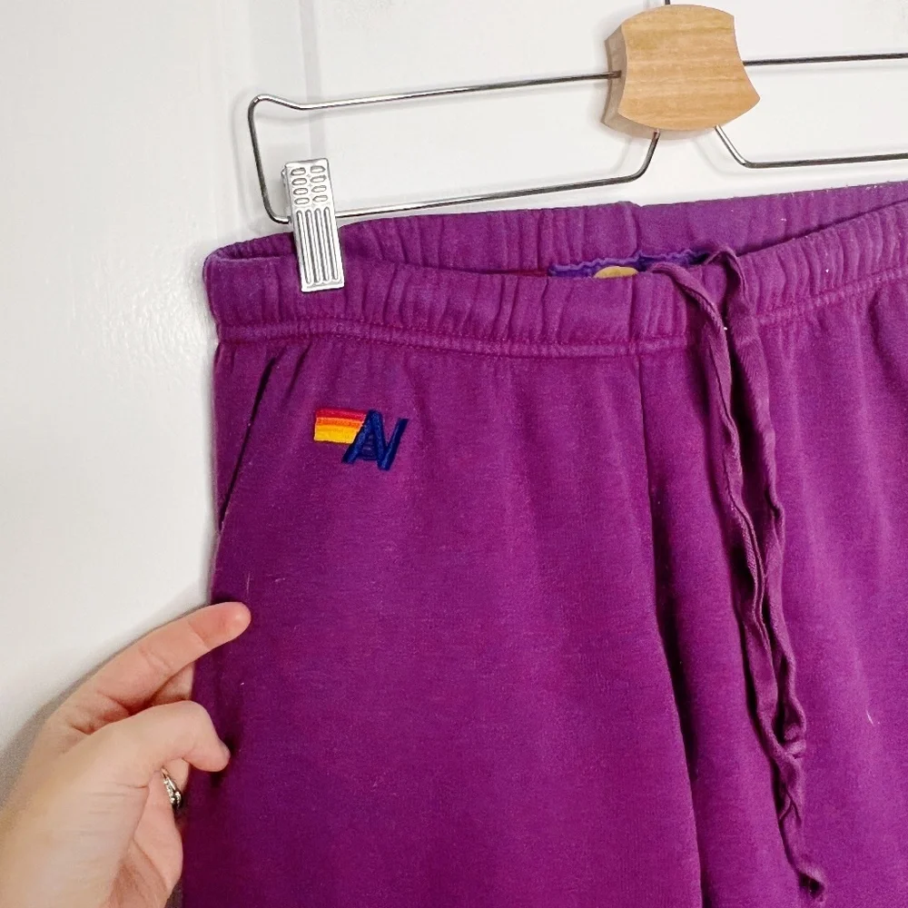 Aviator Nation Purple 5 stripe SweatPant Size M Stripe Pink Blue - Picture 4 of 9